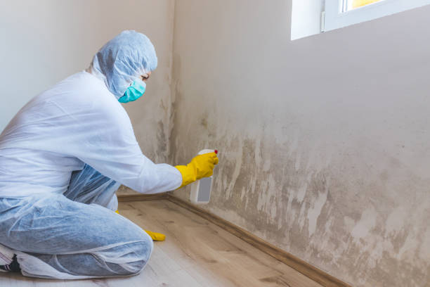 Crawl Space Mold Remediation treatment of floor joists in Florence